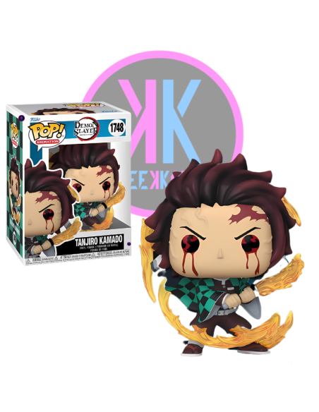 TANJIRO KAMADO 1748